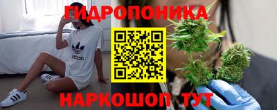 гидропоника Старая Купавна