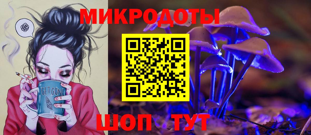 Псилоцибиновые грибы Psilocybe  Вход с VPN  Химки 